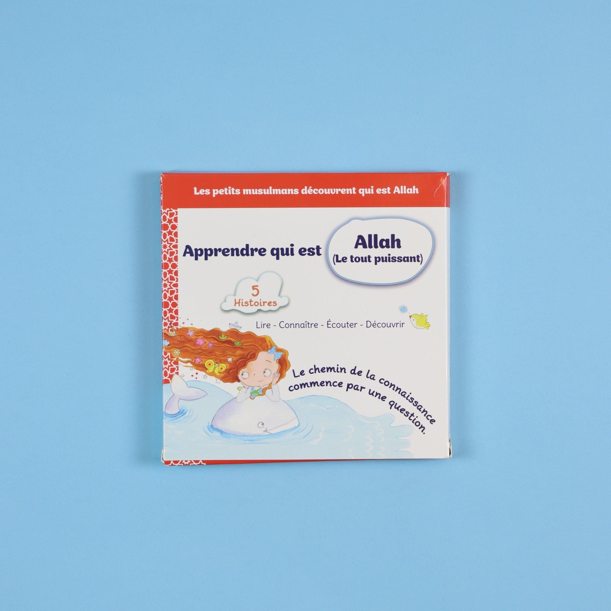 Apprendre qui est Allah (Le Tout Puissant) - 5 Histoires pour Petits Musulmans Digital Future Livre Islam Enfant 9782931043295 Librairie Musulmane Al-imen