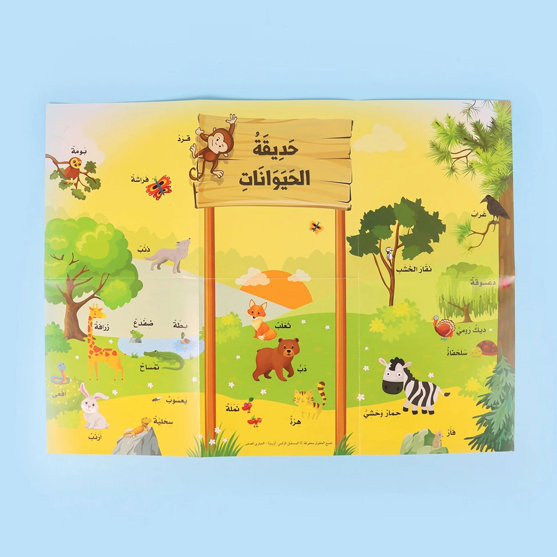 العبقري الصغير - Little Brainy Arabic disponible chez Al - imen