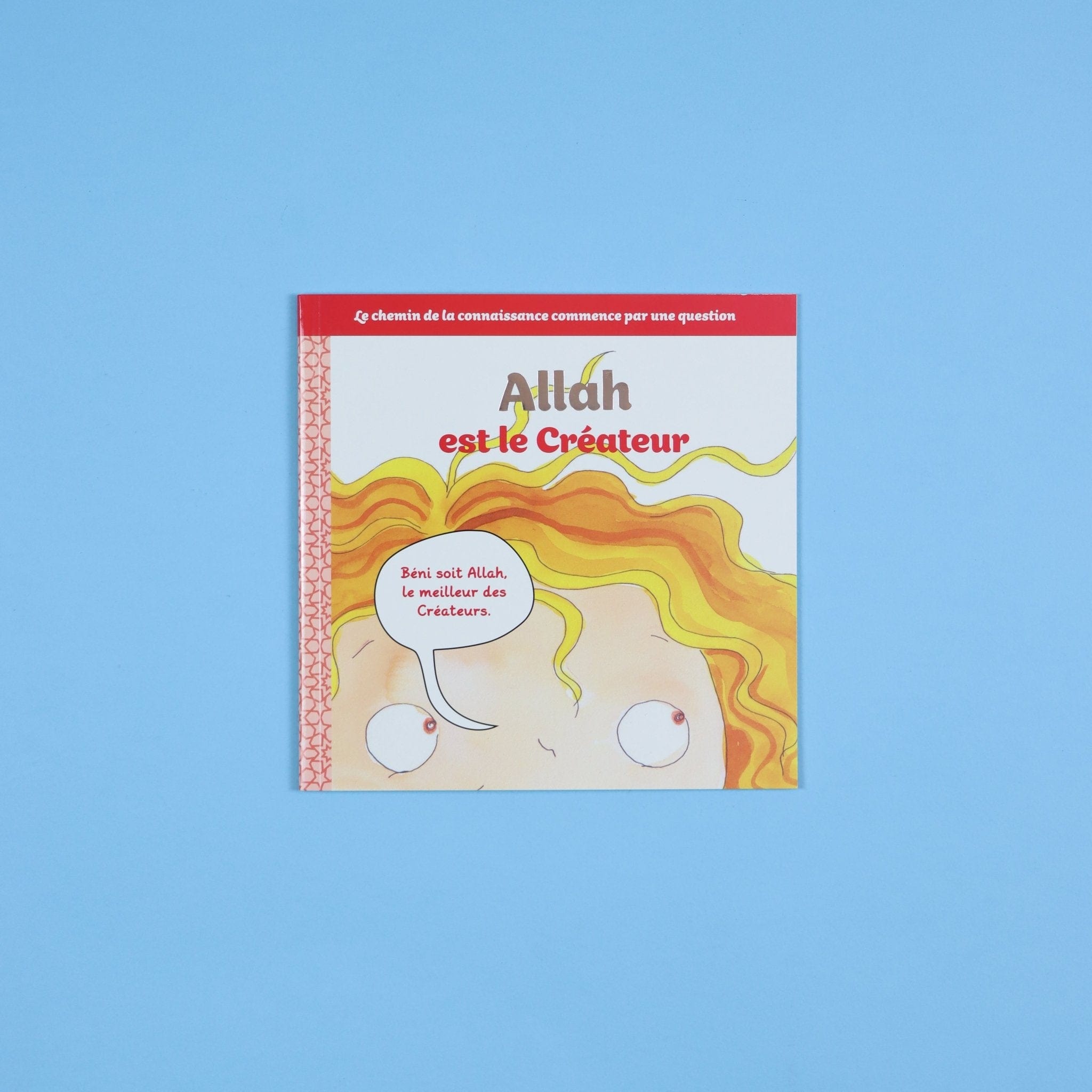 Apprendre qui est Allah (Le Tout Puissant) - 5 Histoires pour Petits Musulmans Digital Future Livre Islam Enfant 9782931043295 Librairie Musulmane Al-imen