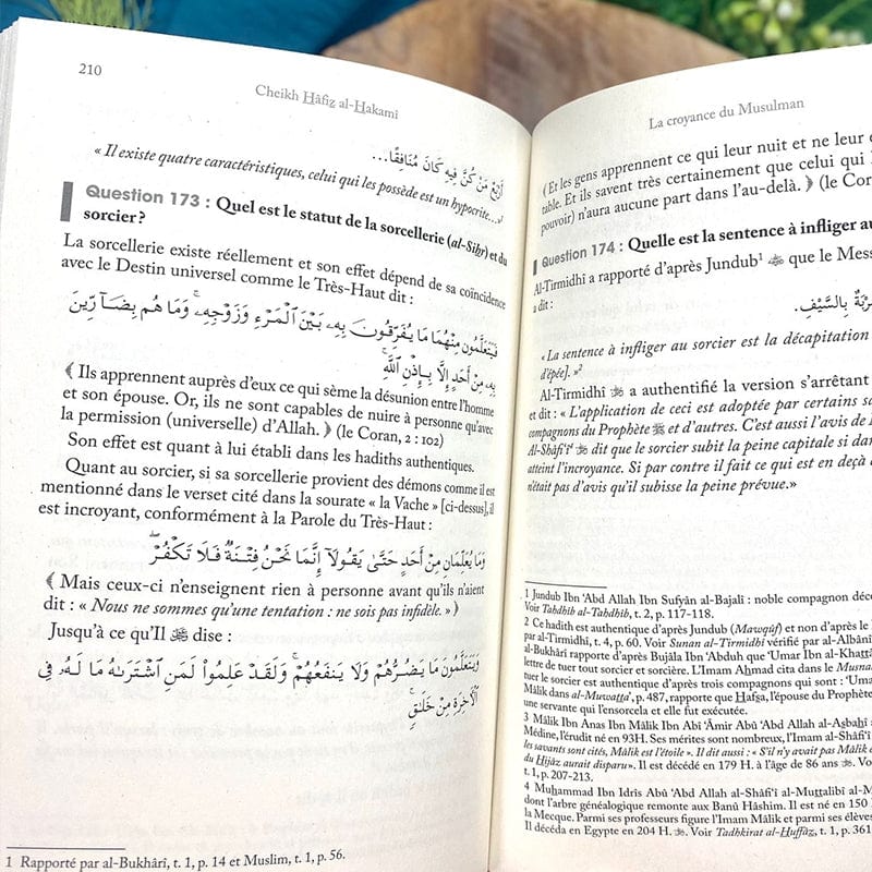 Croyance du musulman 200 questions-réponses - Cheikh Hâfiz Al-Hakamî Al-Hadîth Livre > Islam > Tawhid / Aqidah (Croyance) 9782875452900 Librairie Musulmane Al-imen