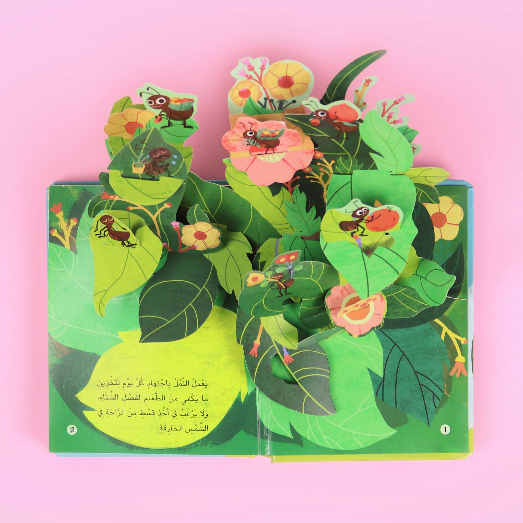 قصة ثلاثية الأبعاد: الجندب والنمل Digital Future Livres Arabe 9786144478615 Librairie Musulmane Al-imen