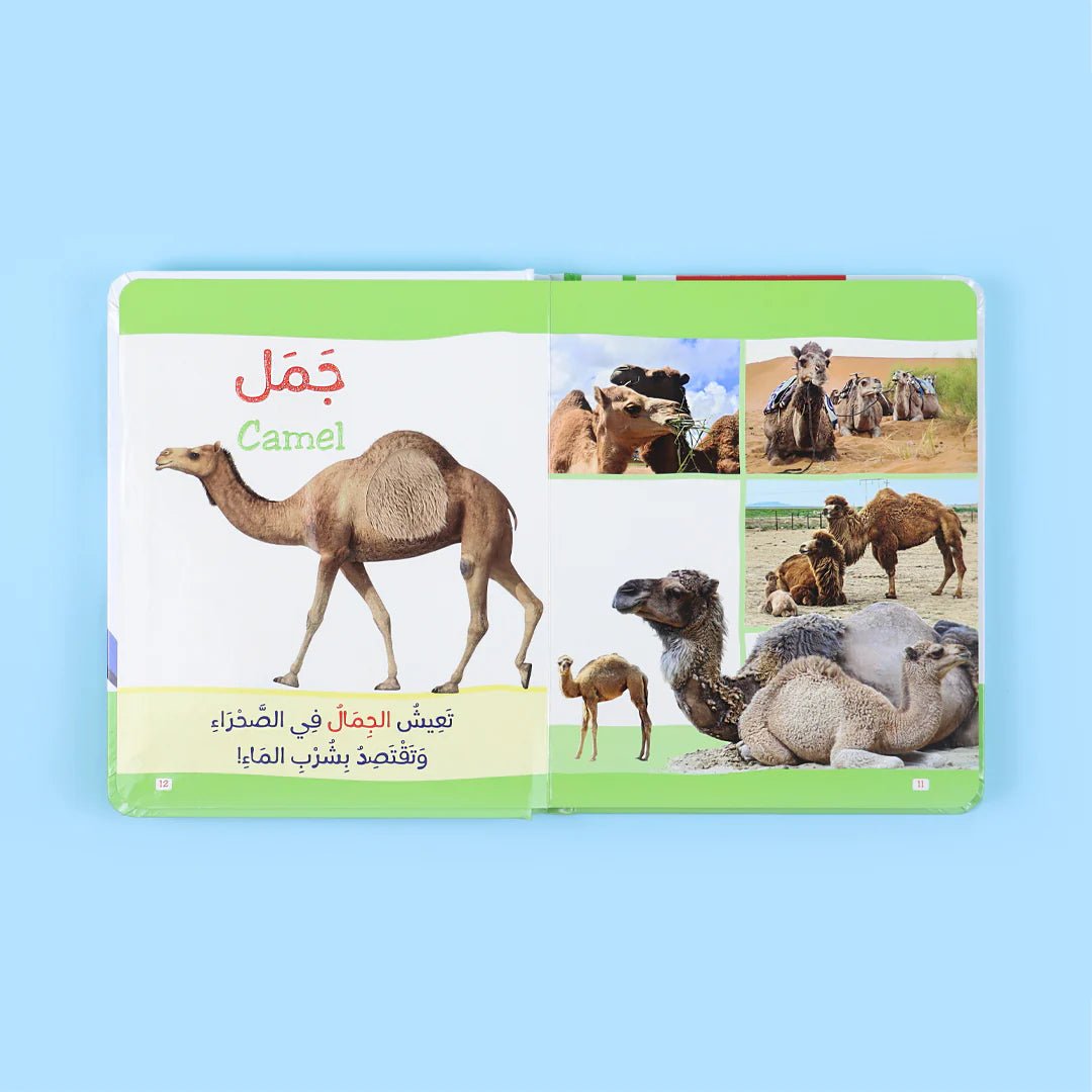 كتاب مونتيسوري الأول: الحيوانات باللمس disponible chez Al - imen