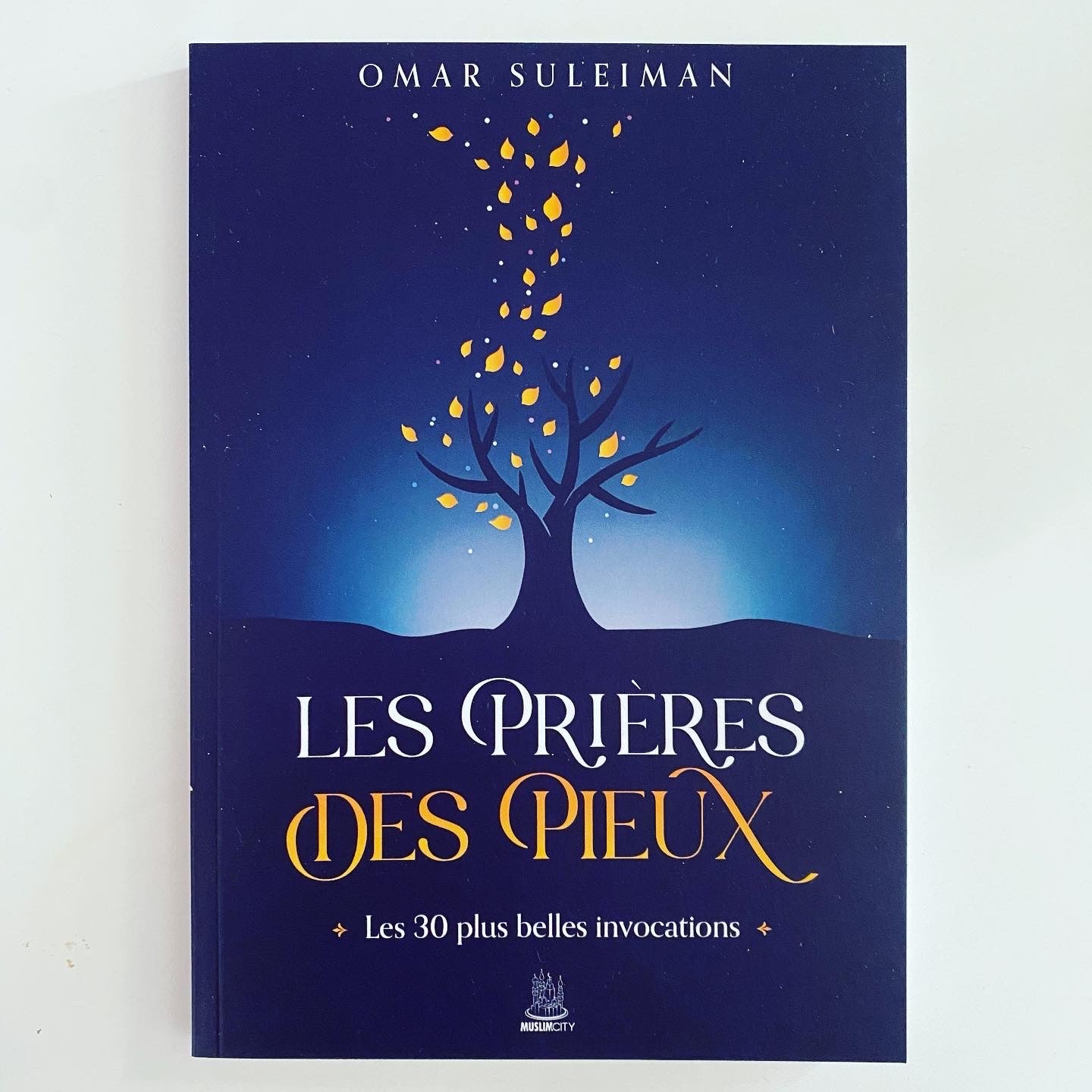 Les prières des pieux - Omar Suleiman - MuslimCity - Livres par édition par MuslimCity disponible chez Al - imen