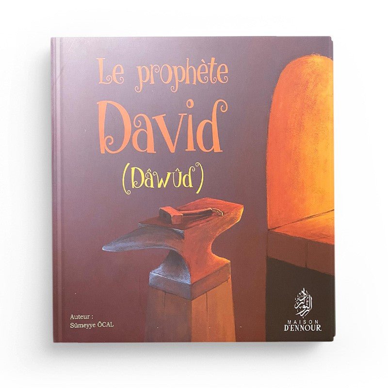 Pack : Histoires des Prophètes (10 livres) - Maison d'Ennour - Livres par édition par Maison d'Ennour disponible chez Al - imen