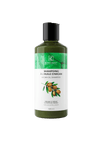 Shampooing à l’huile d’argan karamat cosmetics 400 ml - Bien - être et Santé par Karamat Collection disponible chez Al - imen